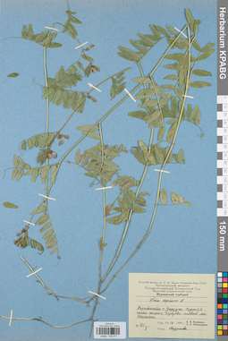KPABG030577