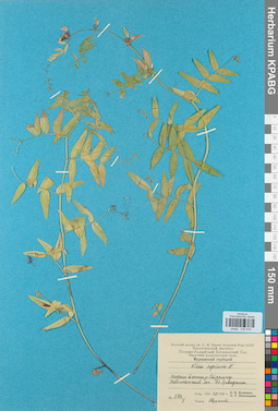 KPABG030578