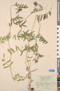 KPABG030579