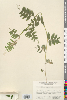 KPABG030582