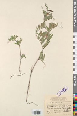 KPABG030591