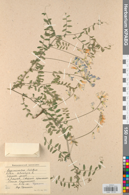 KPABG030604