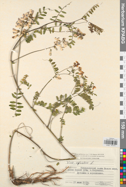 KPABG030610