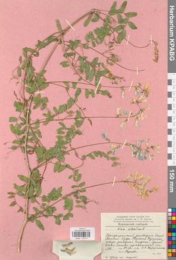 KPABG030613