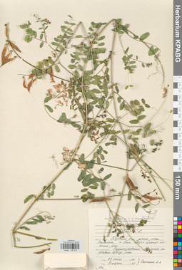 KPABG030615