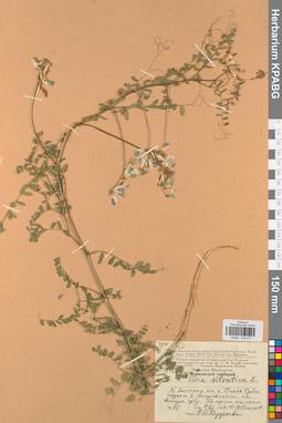 KPABG030617