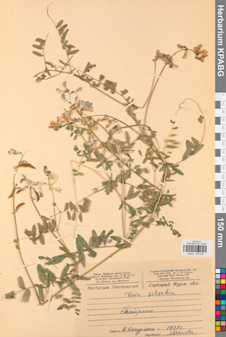 KPABG030619