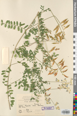 KPABG030632