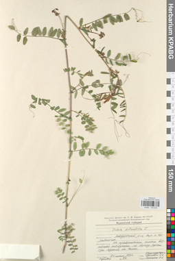 KPABG030633