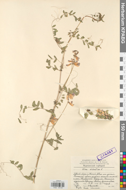 KPABG030639