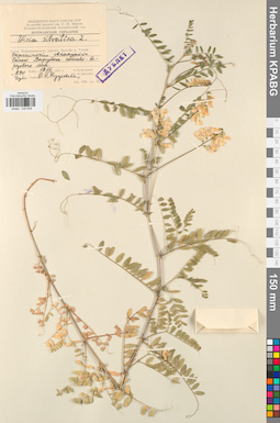 KPABG030648