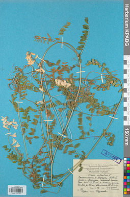 KPABG030653