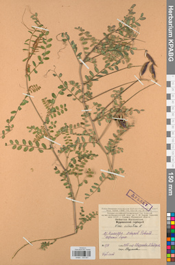 KPABG030657