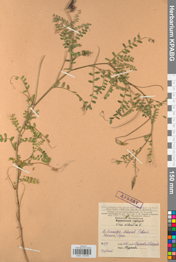 KPABG030659