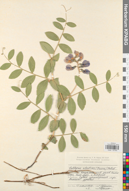 KPABG030685