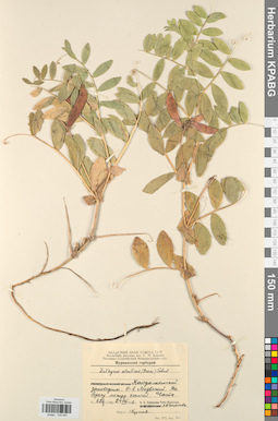 KPABG030687