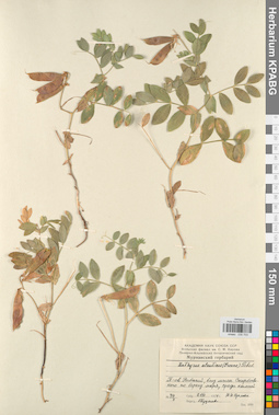 KPABG030703
