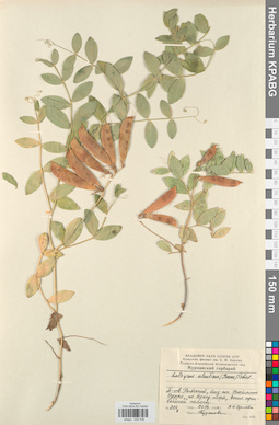 KPABG030706