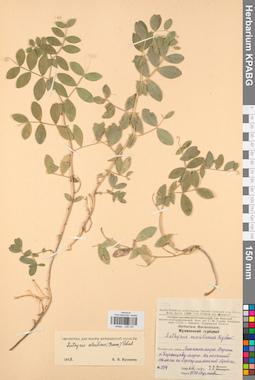 KPABG030707