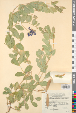 KPABG030709