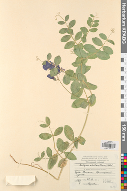 KPABG030711