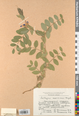 KPABG030712