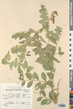 KPABG030714