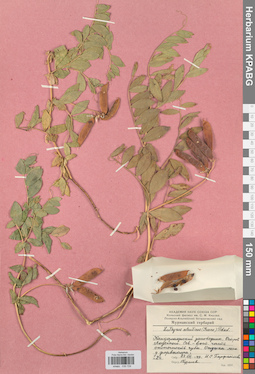 KPABG030729