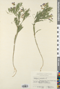 KPABG030737