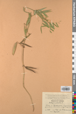 KPABG030743