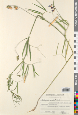 KPABG030747