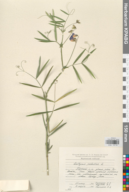 KPABG030748