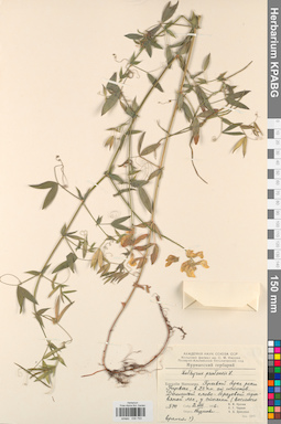 KPABG030793