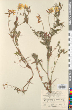 KPABG030795