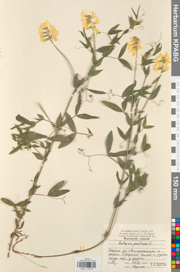 KPABG030797