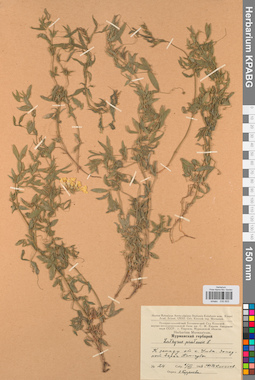 KPABG030805
