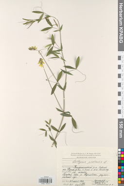 KPABG030811