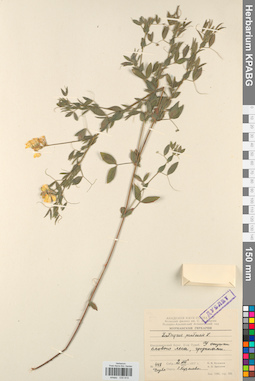 KPABG030815