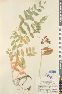 KPABG044974