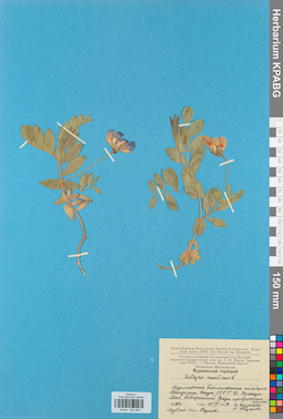 KPABG044980