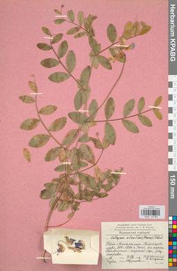 KPABG044989