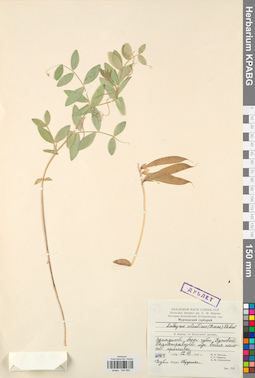 KPABG044992