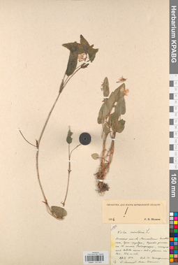 KPABG031645
