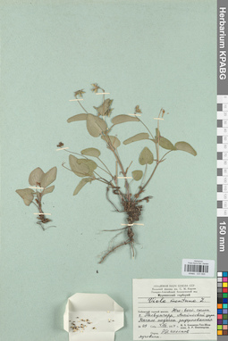 KPABG031655