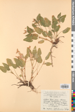 KPABG031661
