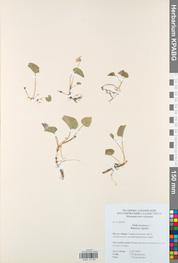KPABG031684