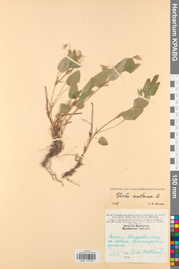 KPABG031693