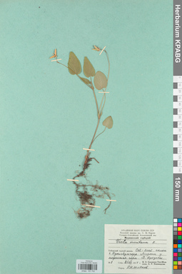 KPABG031702