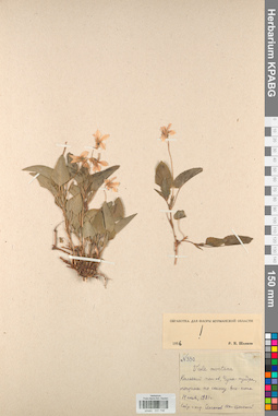 KPABG031706