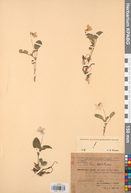 KPABG031710